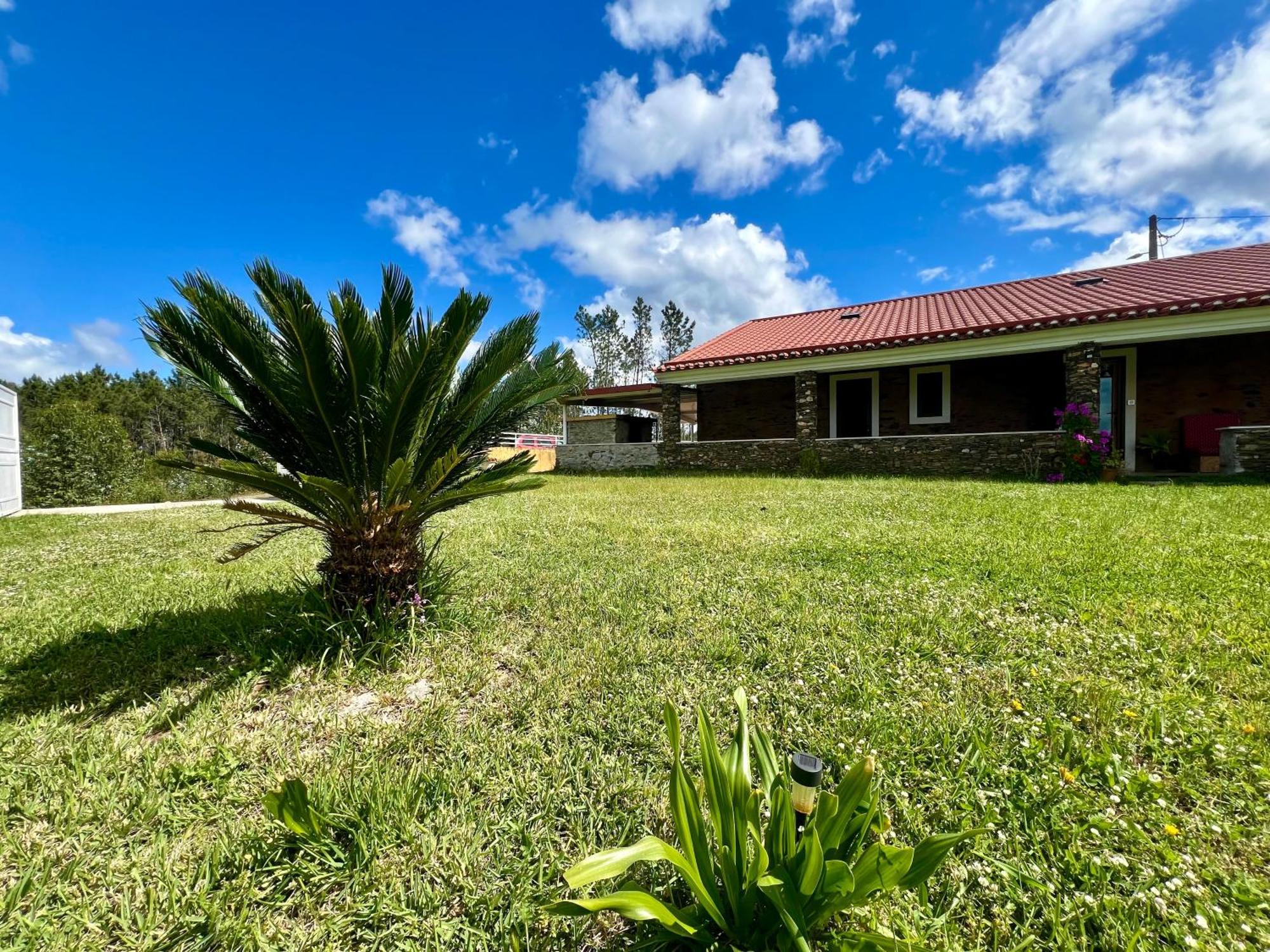 Casa Do Pinhal